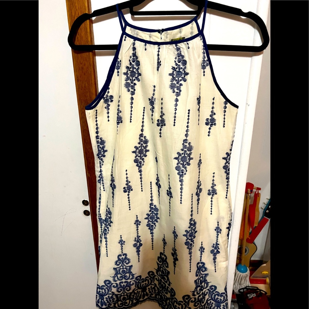 Taylor blue and white dress